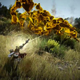 Image for article titled Beautiful PC Game Isn't Only Stunning, But Also Insanely Fast